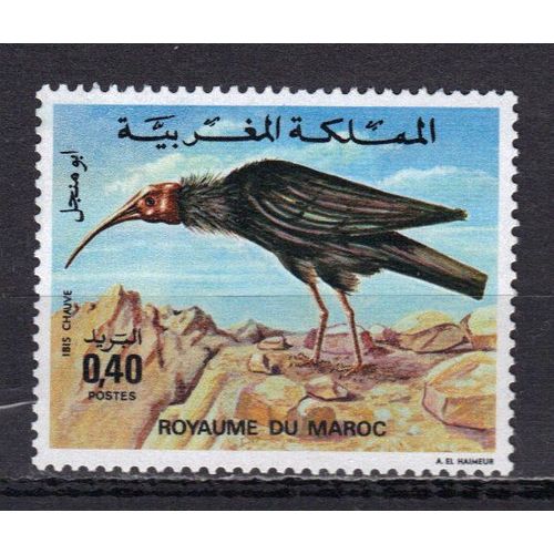 Maroc 1975 : Faune Marocaine : Oiseau : Ibis Chauve - Timbre Neuf **