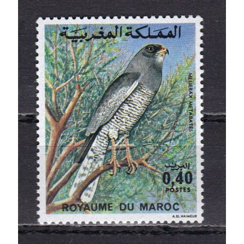 Maroc 1976 : Faune Marocaine : Oiseau : Faucon - Timbre Neuf **