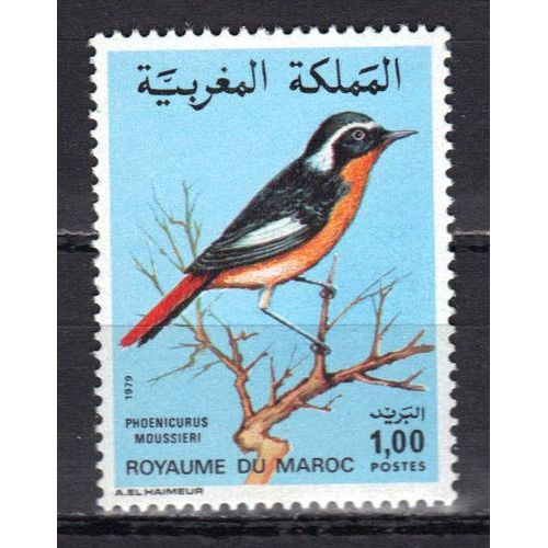 Maroc 1979 : Faune Marocaine : Oiseau : Phoenicurus Moussieri - Timbre Neuf **