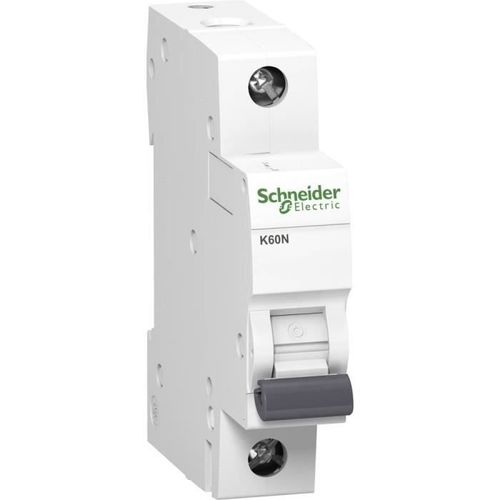 Schneider Electric 3814629 Disjoncteur 10 A