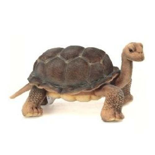 Peluche Tortue Galapagos Anima 30 Cm (30 X 16 X 16 Cm)