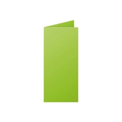 Clairefontaine Pollen DL - Cartes à demi-pli teintée - vert intense - 106 x 213 mm - 210 g/m² - 25 carte(s)