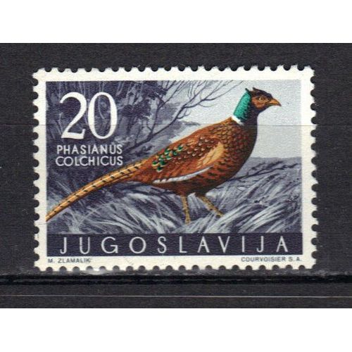 Yougoslavie 1958 : Oiseau : Faisan - Timbre Neuf *