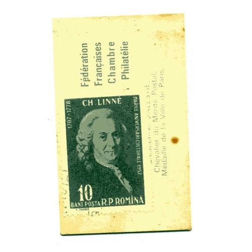 Timbre De  Roumanie   ( Timbre Et Pochette DOrigine) Dans Pochette Publicitaire Des Années 60 "Café San Rivo" 