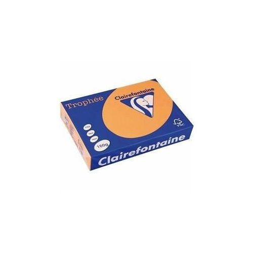 Clairefontaine Lot de 4 Ramettes 250 Feuilles Papier 160g A4 210x297 mm Certifié FSC  Abricot