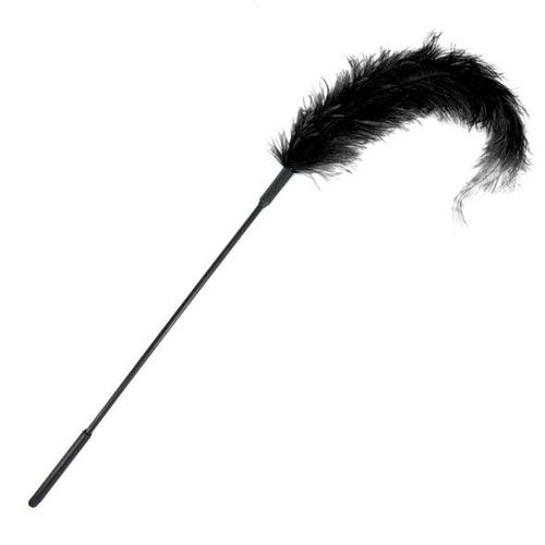 Plume D'autruche Sur Tige De 40 Cm - Noir