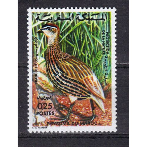 Maroc 1974 : Protection De La Nature : Faune Marocaine : Oiseau : Francolin - Timbre 25 C. Neuf **