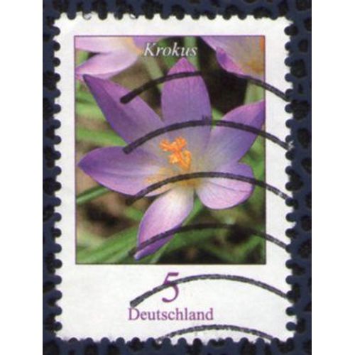 Oblitéré Vagues Used Stamp Krokus 5 Allemagne 2005