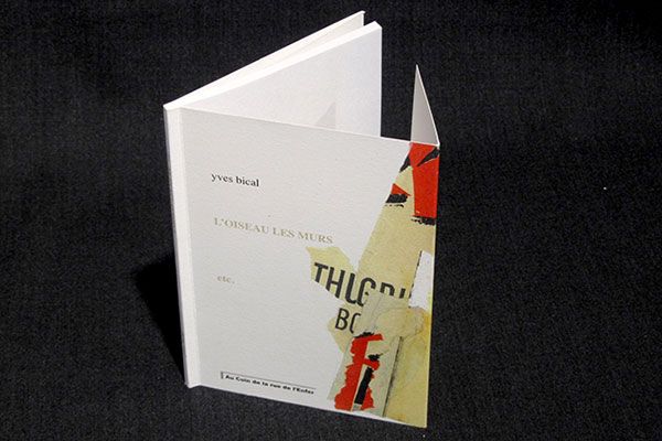 L'oiseau et les murs etc.