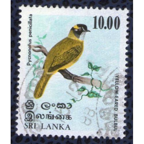 Sri Lanka Oblitération Ronde Used Stamp Oiseau Bird Yellow Eared Bulbul Oreillard