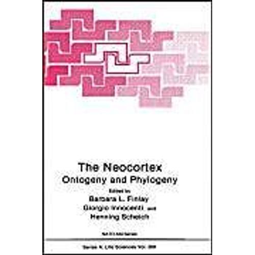 The Neocortex
