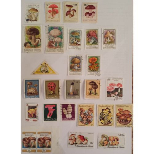 Collection 27 Timbres Oblitérés Thème Champignons
