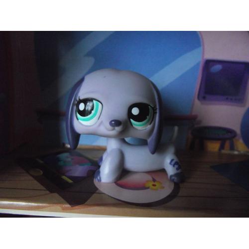 Littlest Petshop Pet Shop Collection Chien Teckel Violet Jeu Jouet Enfant Jeux