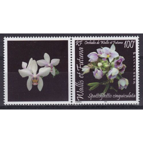 Wallis Et Futuna 2005 : Flore : Fleurs : Orchidées : Spattoglottis Cinquiculata - Timbre 100 F. Neuf ** Avec Vignette En Fleurs