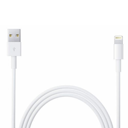 Pour APPLE iPhone 6 : Cable Usb Apple Synchro Et Charge
