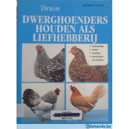 Dwerghoenders Houden Als Liefhebberij