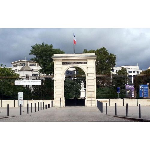 Cours D'obstétrique École Vétérinaire Maison-Alfort Moussu Roques 1902 Be