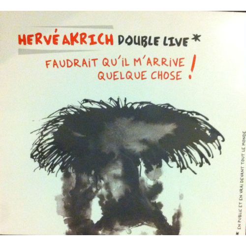 Double Live - Faudrait Qu'il M'arrive Quelque Chose !