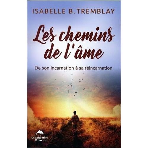 Les Chemins De L'âme - De Son Incarnation À Sa Réincarnation