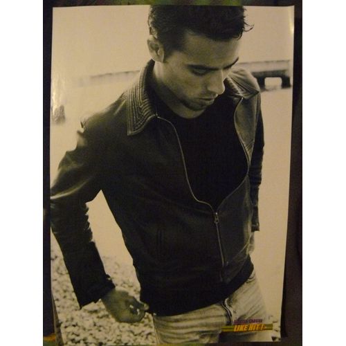 Poster A4 Damien Sargue