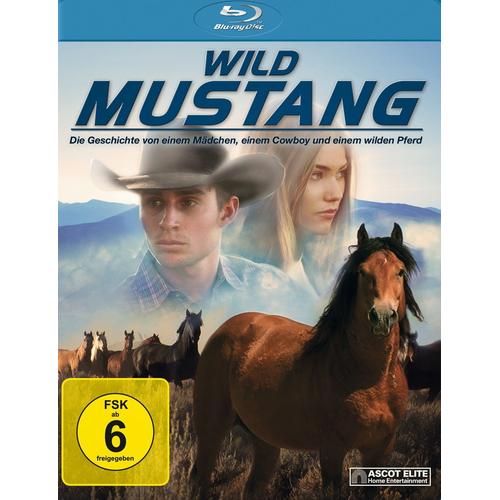 Wild Mustang