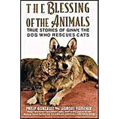 The Blessing Of The Animals