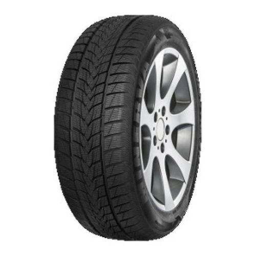 Pneu Minerva Frostrack UHP ( 225/55 R19 99V )