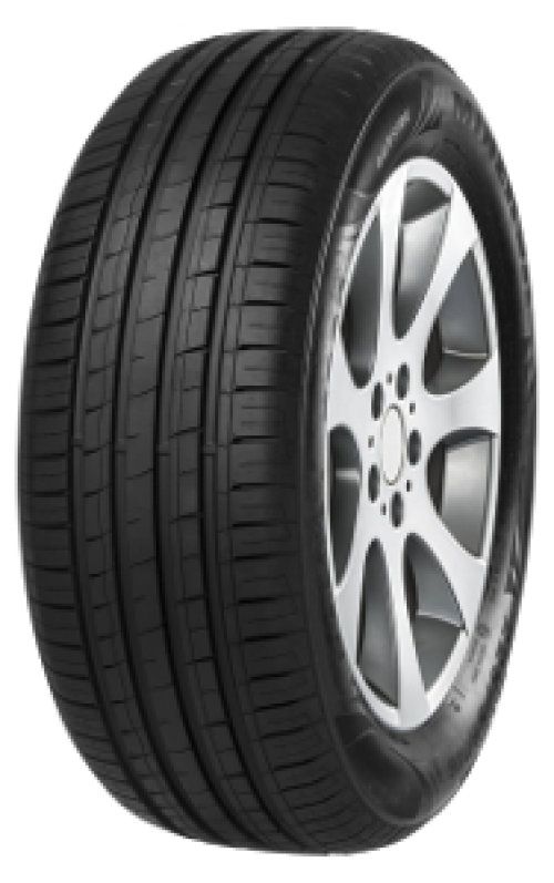 Minerva F209 205/50 R15 89V XL