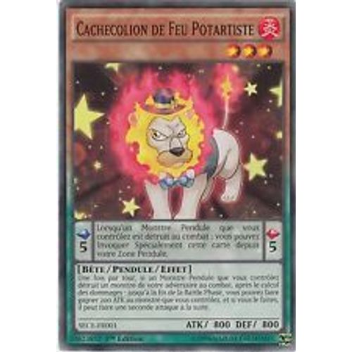 Cachecolion De Feu Potartiste - Sece-Fr001 Commune 