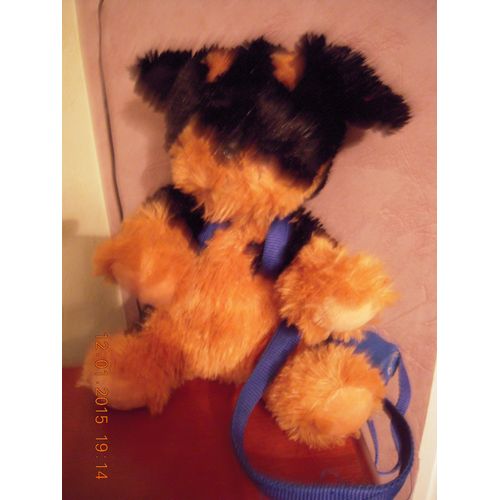 Chien Noir Et Marron Mgm