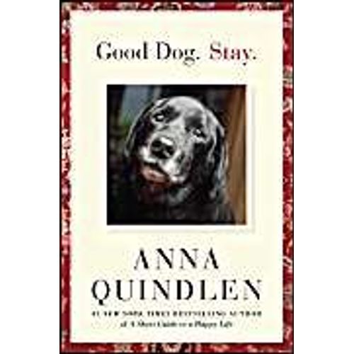 Good Dog. Stay.