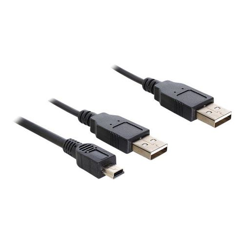 Delock - Câble USB - USB (M) pour USB, mini USB type A (M) - 30 cm