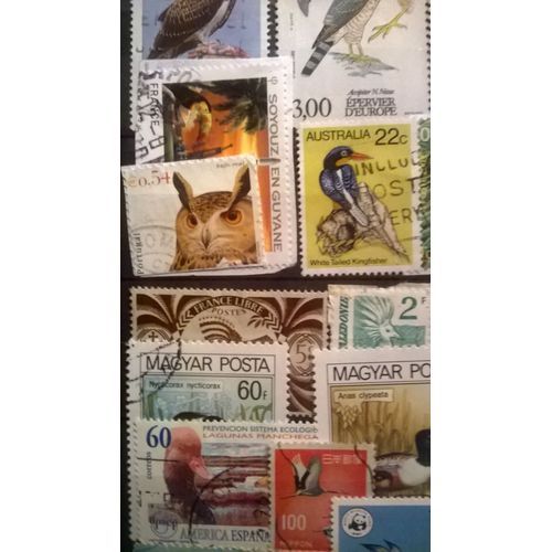 Lot De 10 Timbres Oiseaux Divers Pays