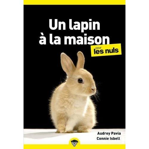 Un Lapin À La Maison Pour Les Nuls