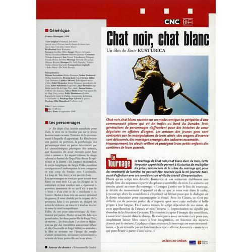 Chat Noir Chat Blanc, Synopsis Dépliant, De Emir Kusturica, Avec Bajram Severdzan, Srdan Todorovic