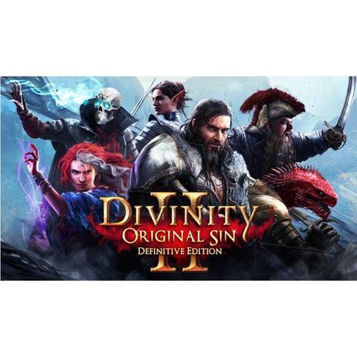 Divinity Original Sin Ii Definitive Edition Pc Gog Key Global