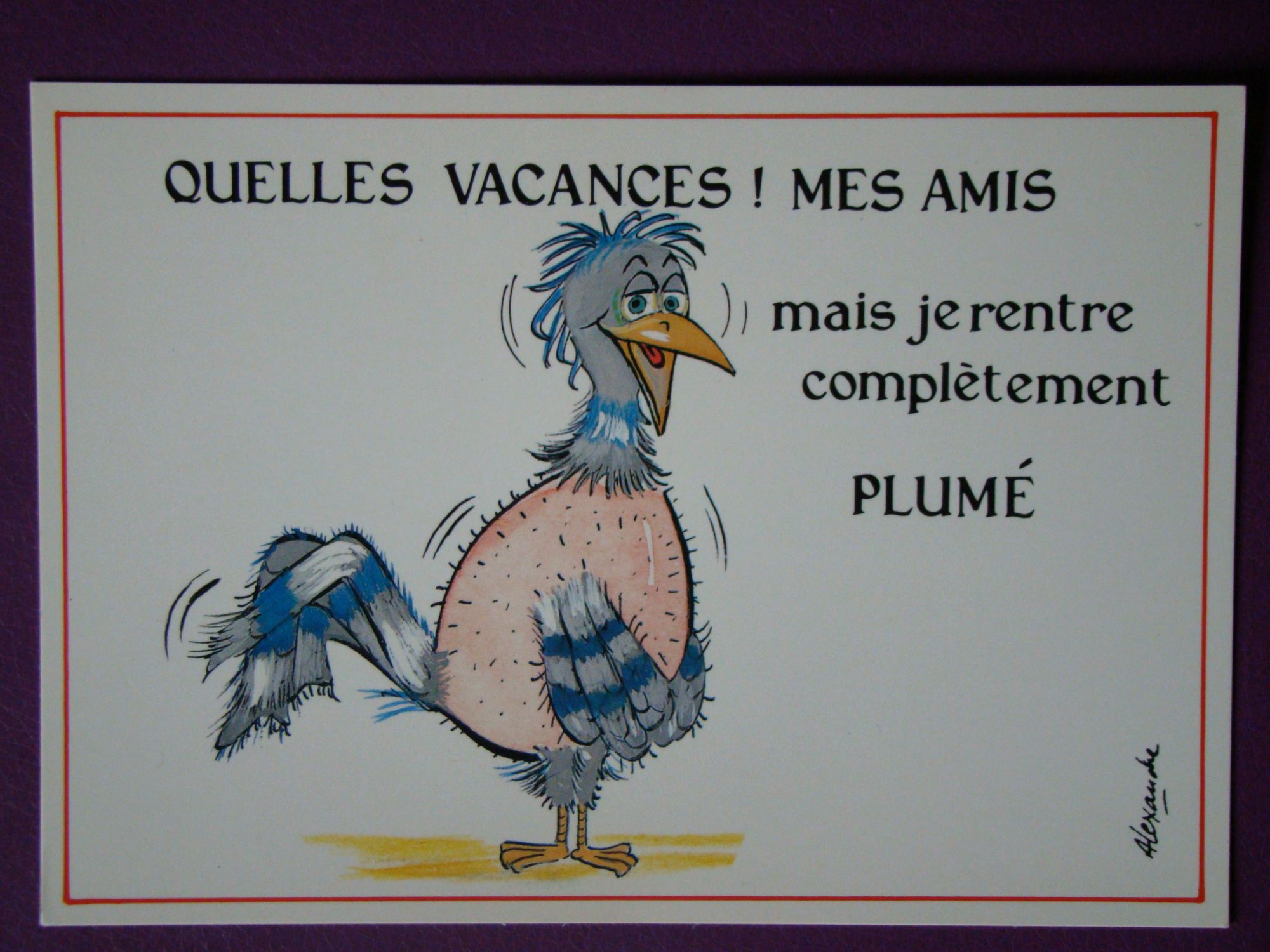 Humour Vacances Poule Deplumee Carte Postale Rakuten