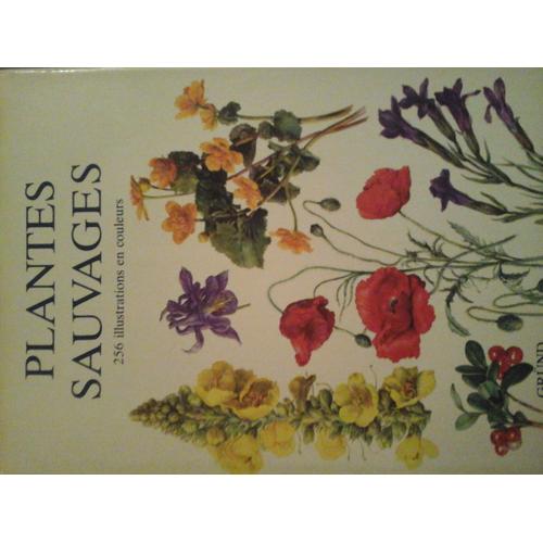 Plantes Sauvages