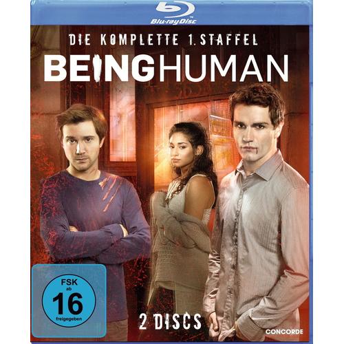 Being Human - Die Komplette 1. Staffel (2 Discs)