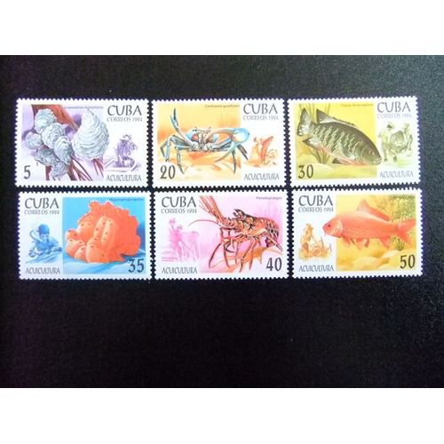 Cuba 1993 Fauna Marina Yvert & Tellier N º 3370 - 3375 ** Mnh