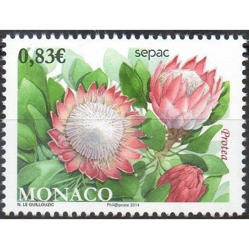 Sepac - Les Fleurs