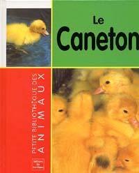 Les Canetons