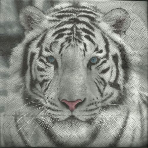 Lot De 2 Serviettes Déco Papier: Le Tigre