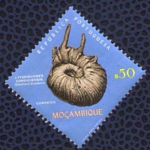 Mozambique 1971 Timbre Stamp Lytodiscoides Conduciensis Fossiles