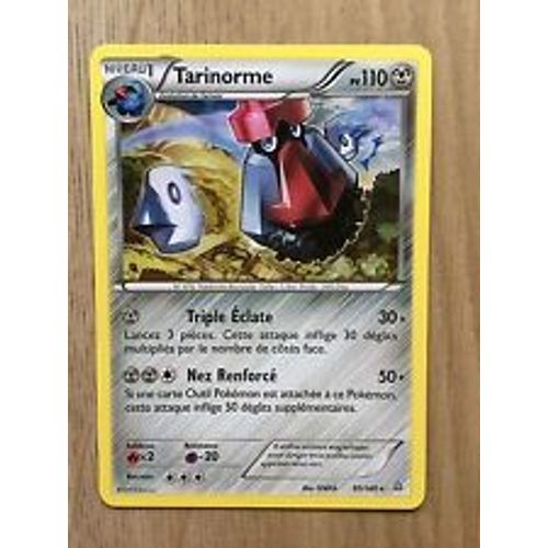 Tarinorme 95/160 Primo Choc