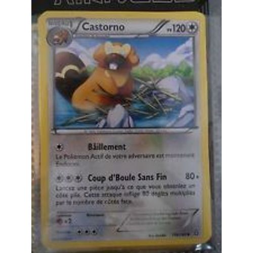 Castorno 118/160 Primo Choc