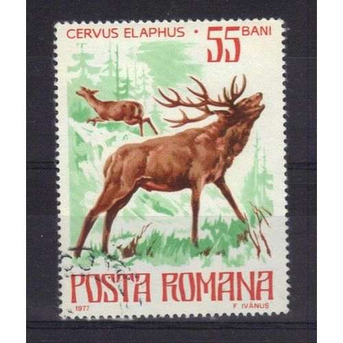 Roumanie 1972 : Protection De La Nature : Faune : Cerf - Timbre Oblitéré