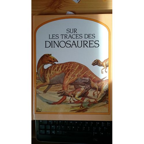Sur Les Traces Des Dinosaures