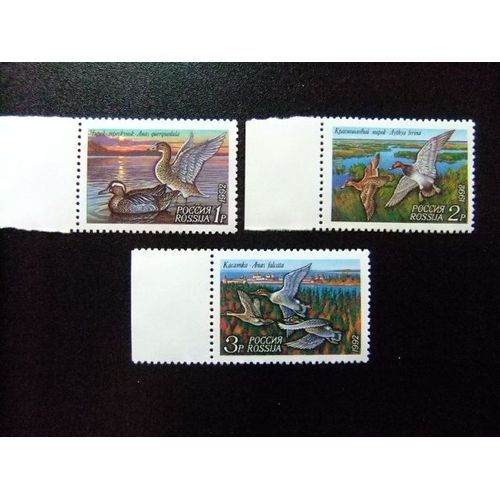 Rusia - Flora - Yvert & Tellier N º 5958 / 5960 ** Mnh