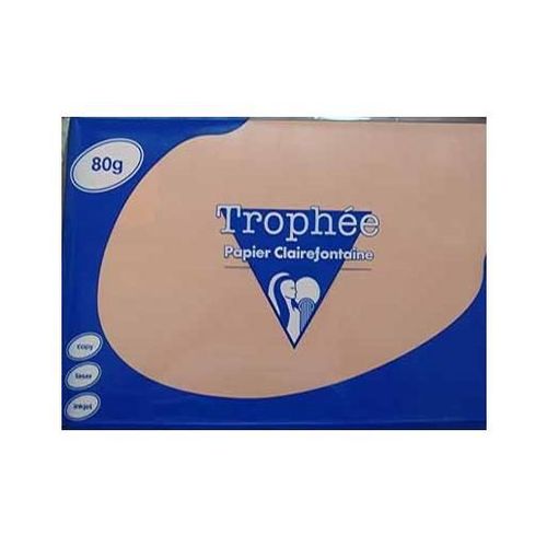 Clairefontaine Lot de 10 Ramettes 500 Feuilles Papier 80g A4 210x297 mm Certifié FSC pêche